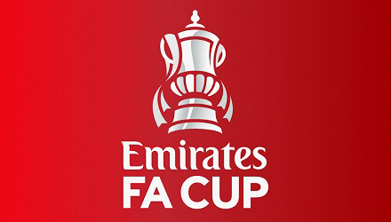 fa cup emirates logo uk