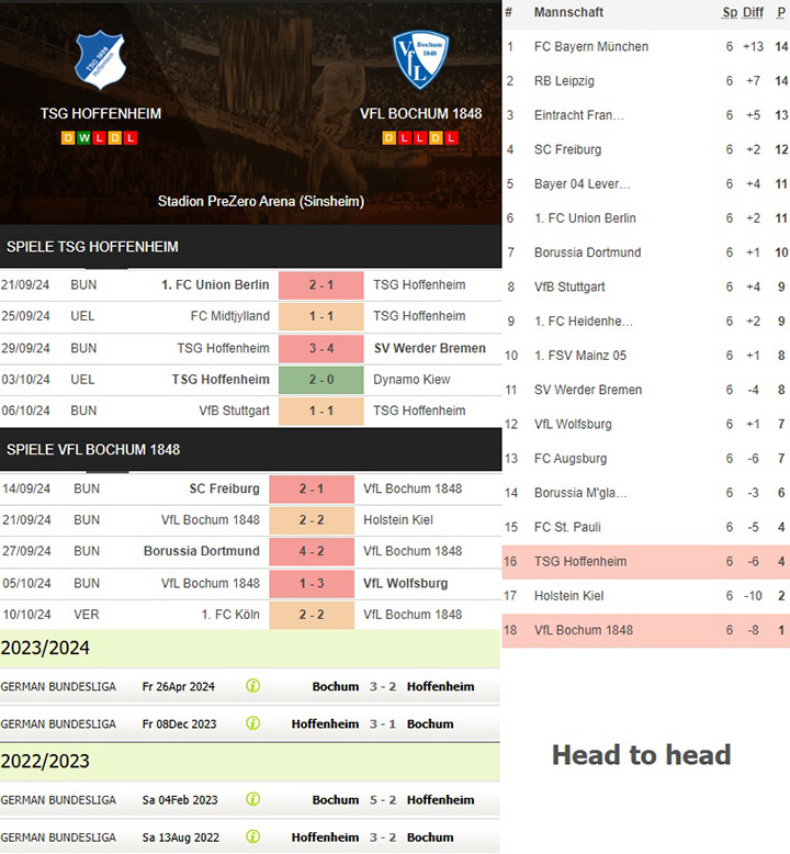 3) tsg hoffenheim vs. vfl bochum 1848