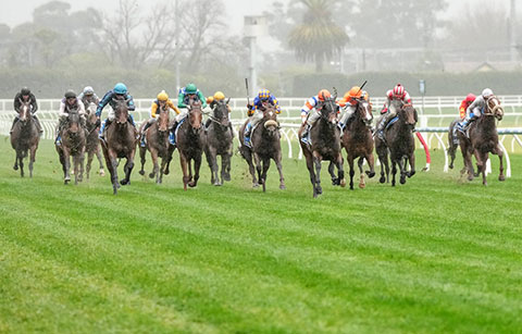 live wett revolution bei pferderennen coral & ladbrokes starten mit tpd in australien durch 2