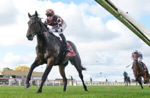 live wett revolution bei pferderennen coral & ladbrokes starten mit tpd in australien durch