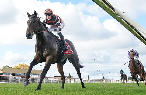live wett revolution bei pferderennen coral & ladbrokes starten mit tpd in australien durch